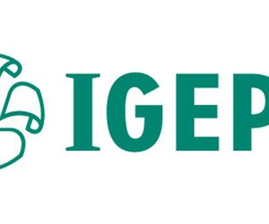 IGEPA Yutz